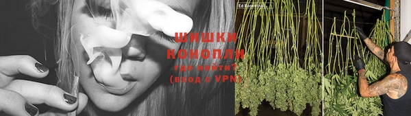 ПСИЛОЦИБИНОВЫЕ ГРИБЫ Абаза